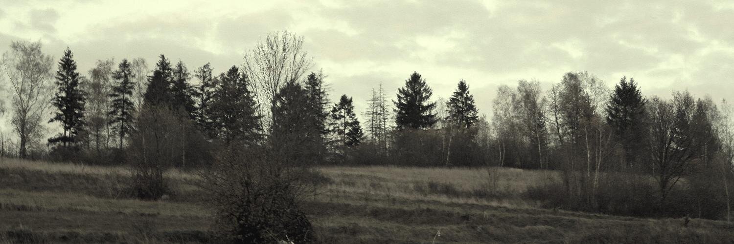 mkasztelnik's profile banner image