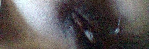 ewemoy's profile banner image