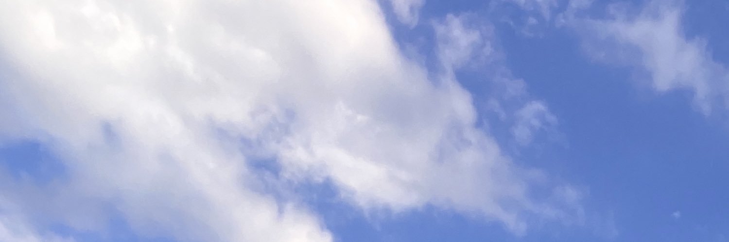 dubemosuala's profile banner image