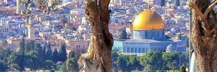 Nine 9 Bettercount.. banner