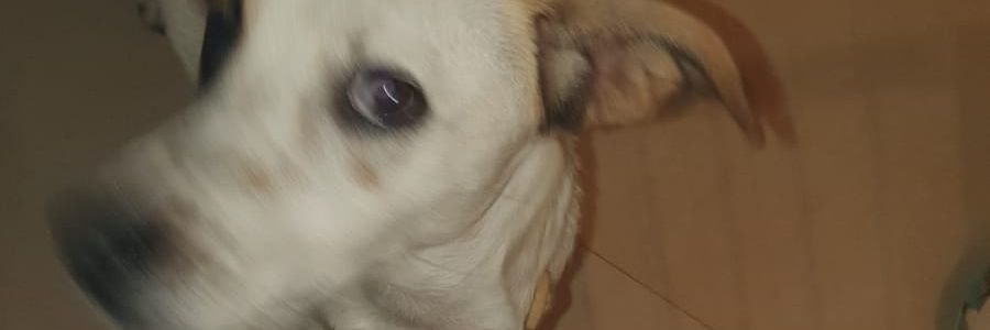 Alexisaramel's profile banner image