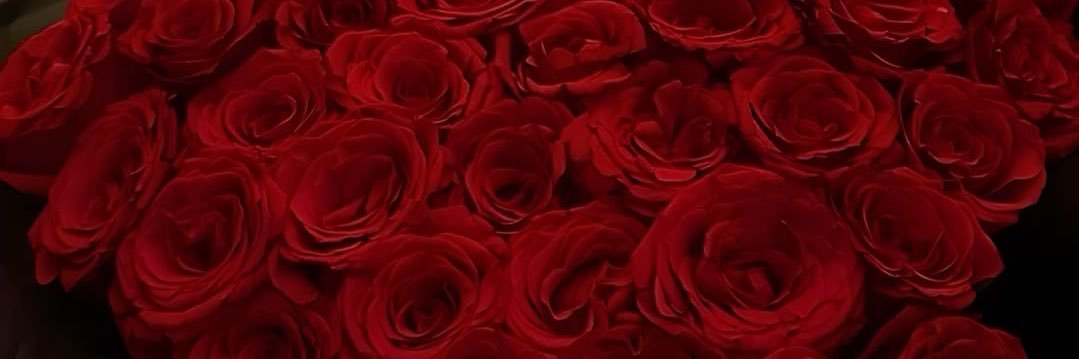 LauraPeace22's profile banner image