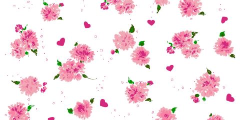 kikirijkia's profile banner image