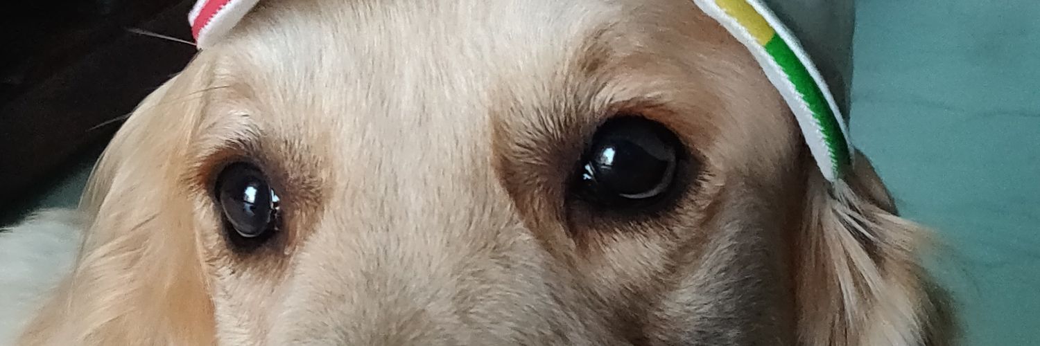 idiot_comm_man's profile banner image