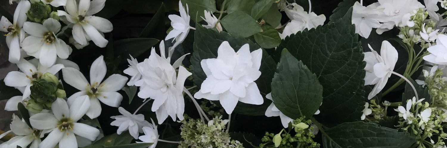 HeyyyKatieMay's profile banner image