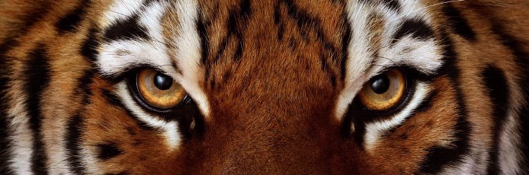Jamieharrop7's profile banner image