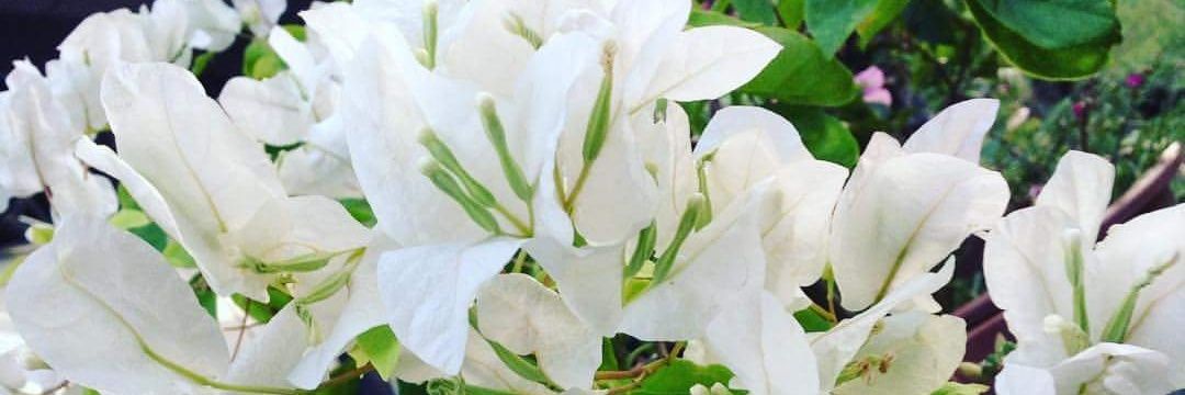ddieya9383's profile banner image