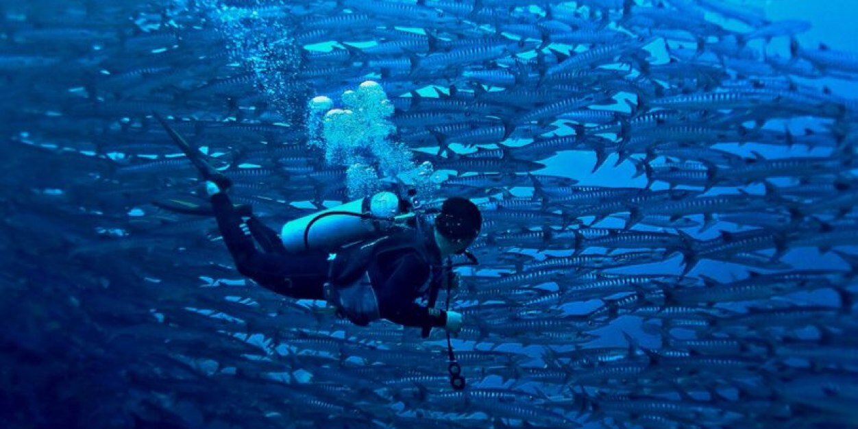 Dive_ID's profile banner image