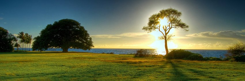 TheFeel_org's profile banner image