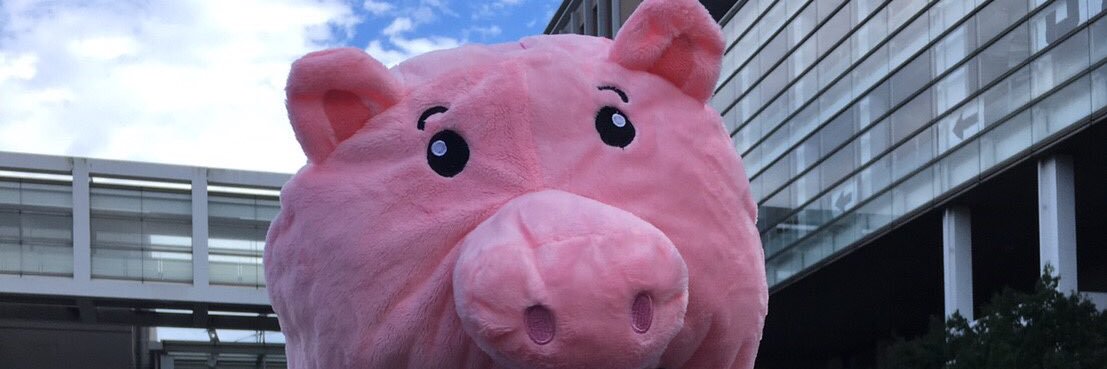 ____pig_N's profile banner image