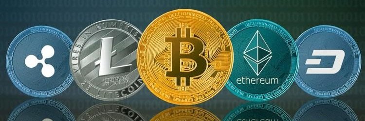 CoinFuckNelson's profile banner image