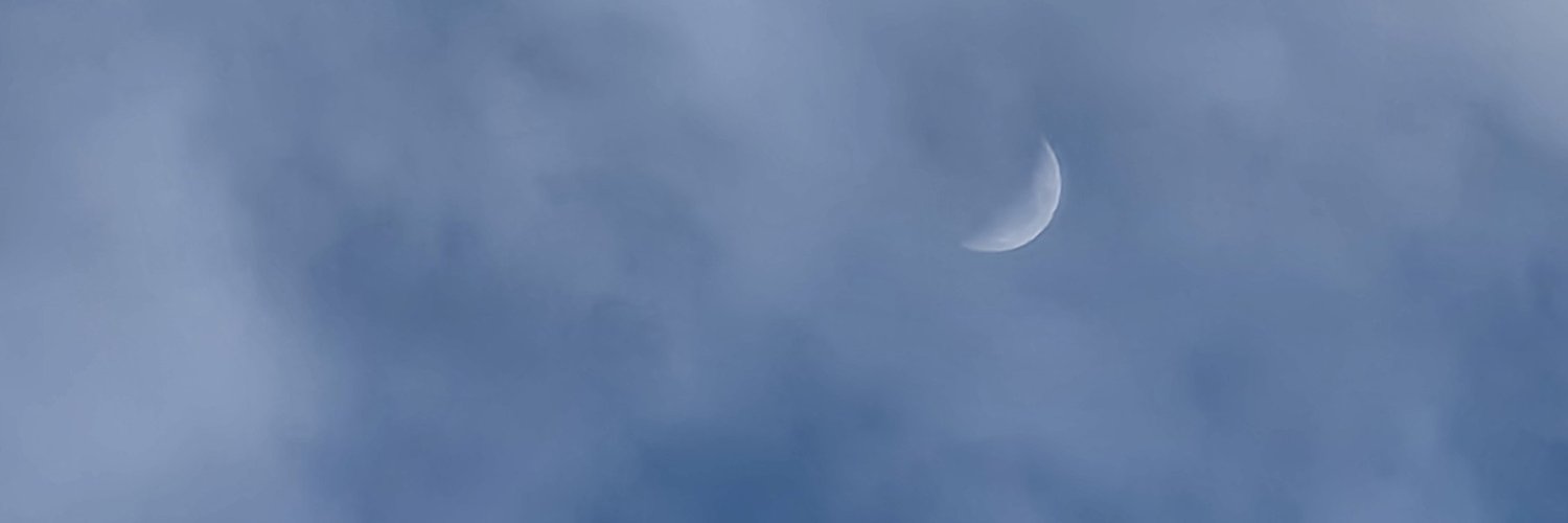 vallejo_kris's profile banner image