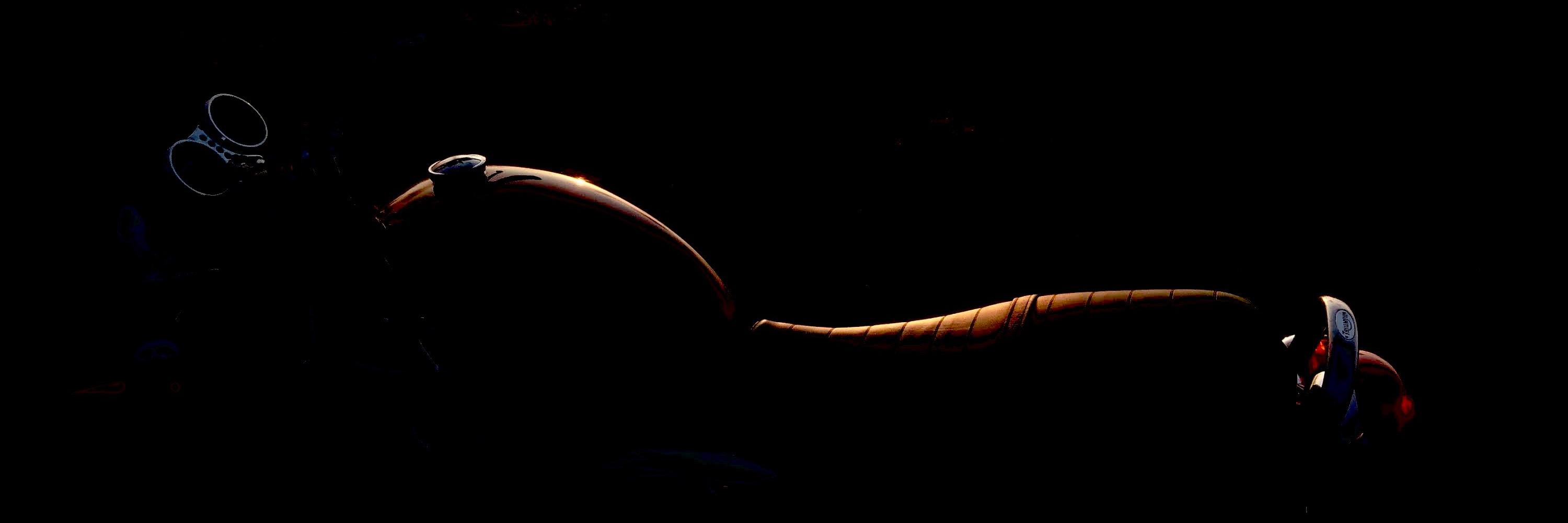 Leigh Grey🌹🇵🇸☮️ banner