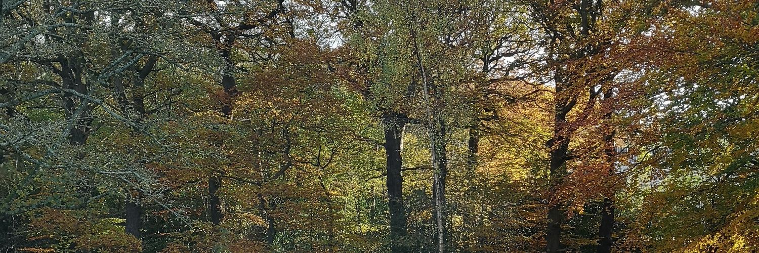 willboyes's profile banner image