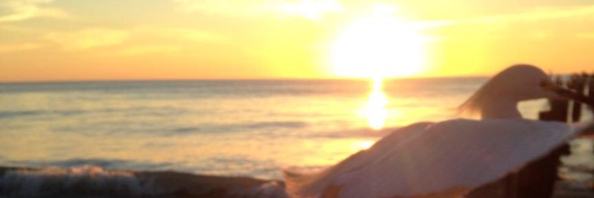 cmhllh2007's profile banner image