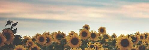 abidavignair's profile banner image
