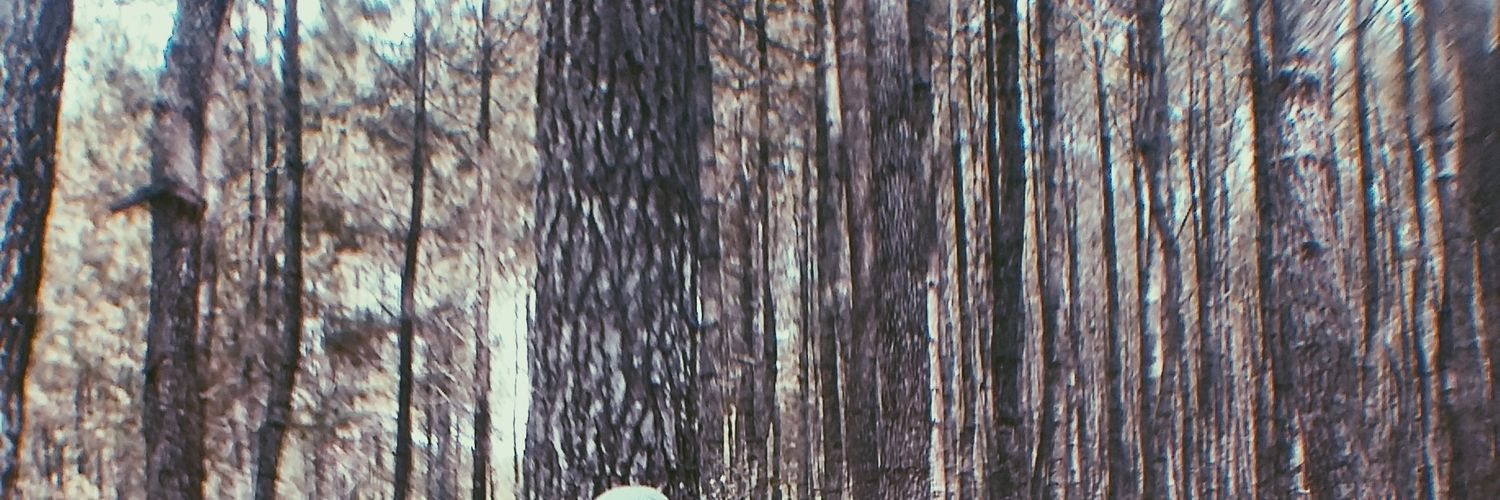 RisnaaDS's profile banner image