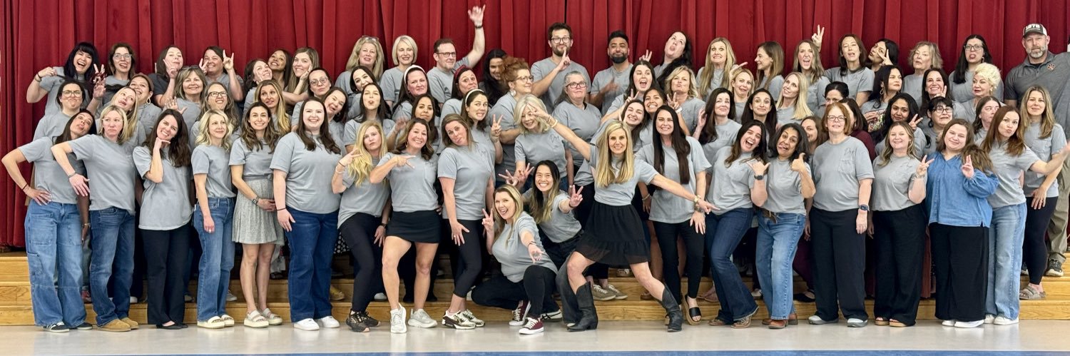 Dripping Springs Elementary banner