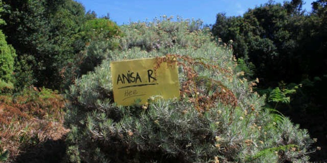 anisrht's profile banner image