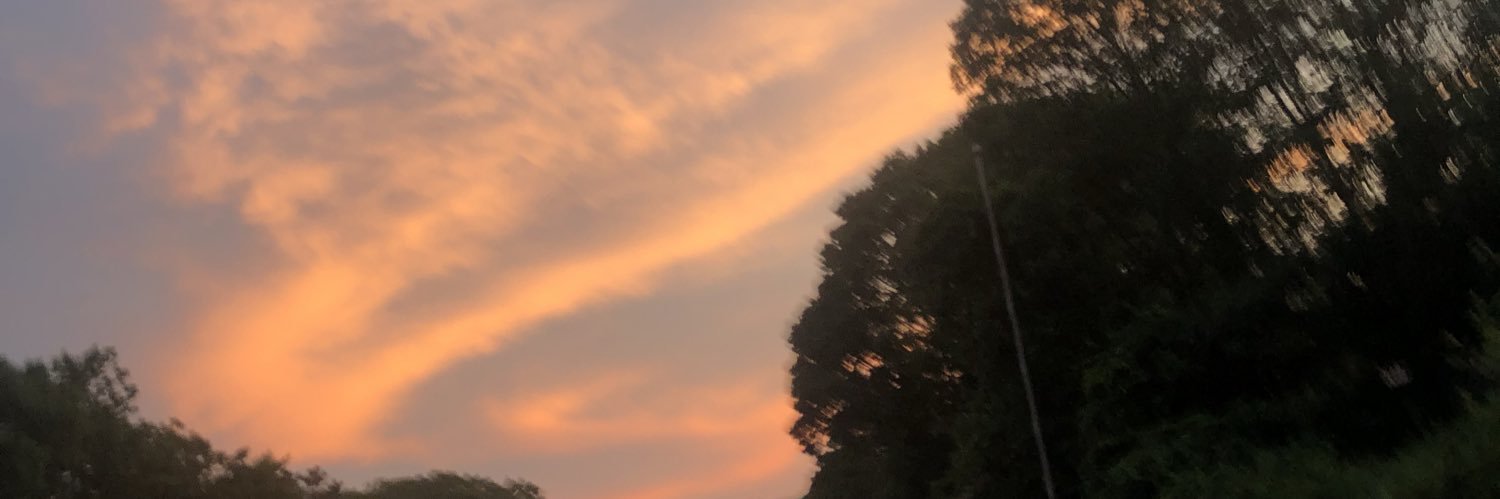 dianascarth's profile banner image