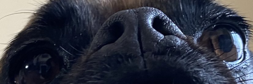 nathanJlake's profile banner image