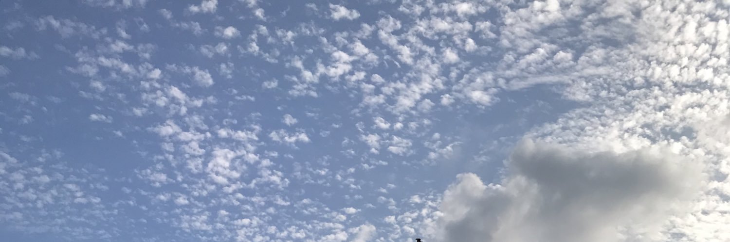 purplesakula's profile banner image