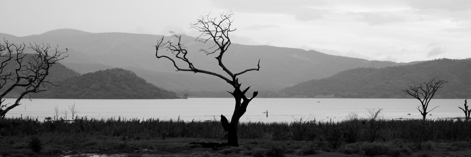 arahpergi's profile banner image