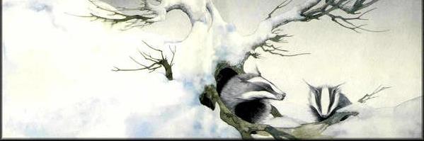 onelivebadger's profile banner image