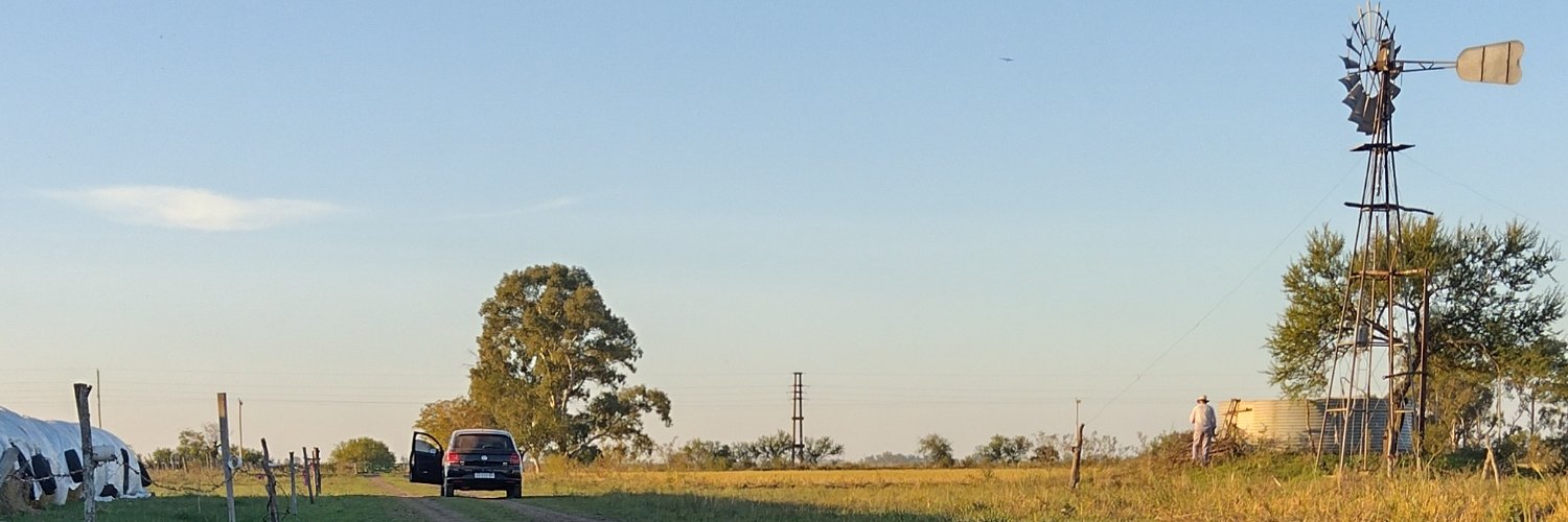 daianbonnin's profile banner image