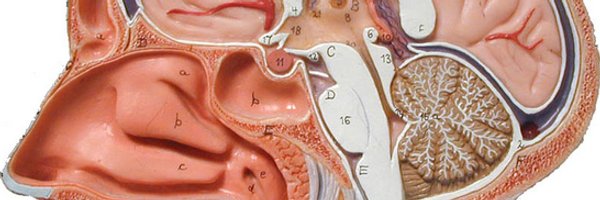 alextrollope Profile Banner