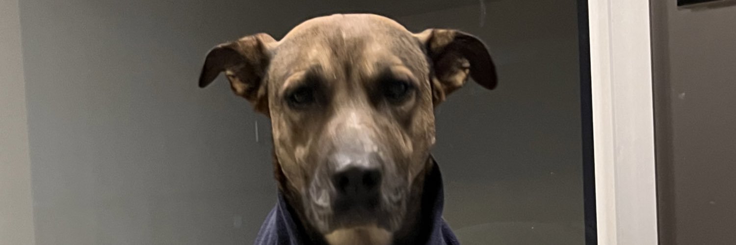 nic_hyg's profile banner image