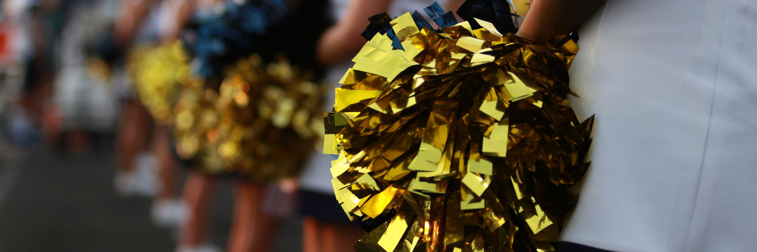 Akins Eagles Cheer banner