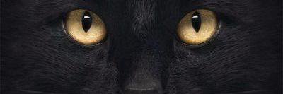 NewSlave53's profile banner image