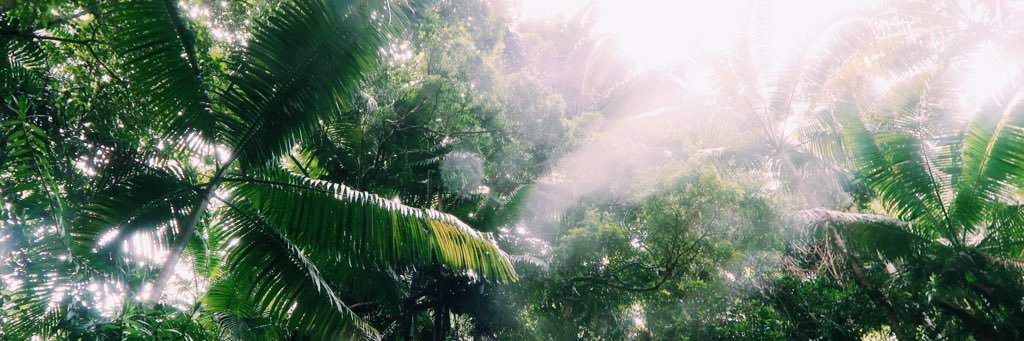 AndreaAxelsson's profile banner image