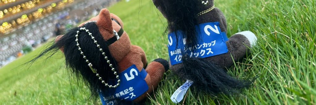 ayuverse's profile banner image