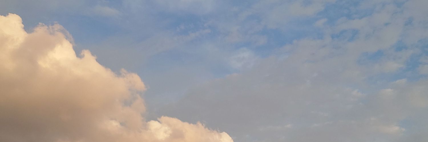 c_k_s_b's profile banner image