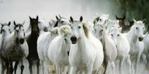 AGUSTIN PRONZATI banner