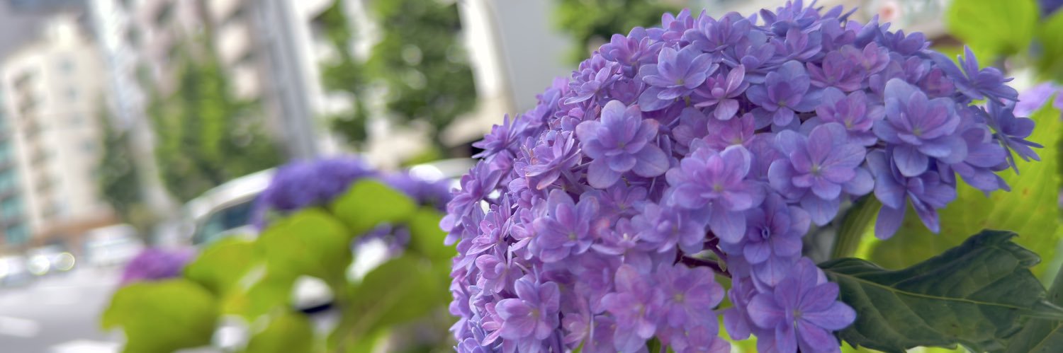 mht_nc's profile banner image