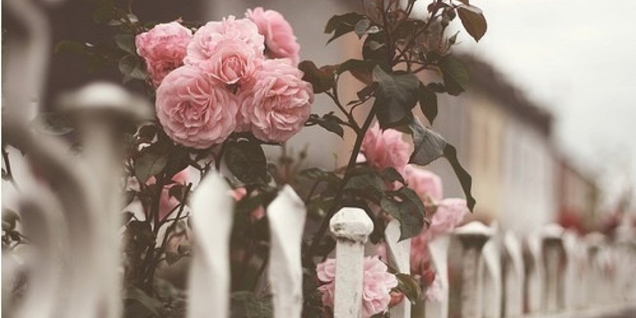 TheSelenaVIP's profile banner image