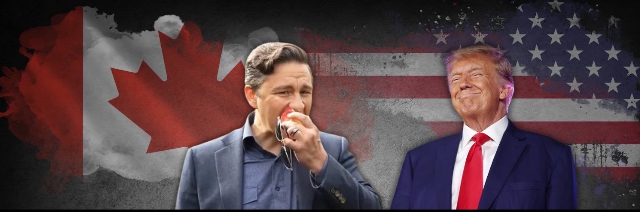 bradstefania's profile banner image
