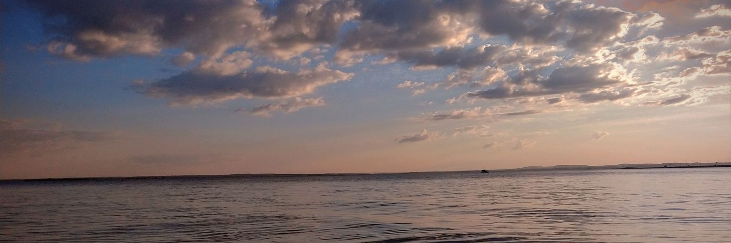 euleoxavier's profile banner image