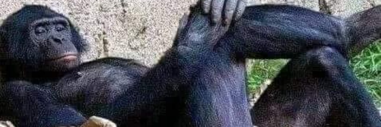 AnthonyLLPNJ's profile banner image