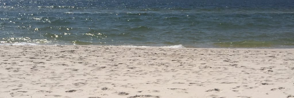 BethhAdams's profile banner image