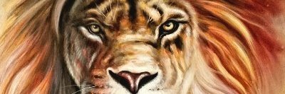 inesolguis's profile banner image