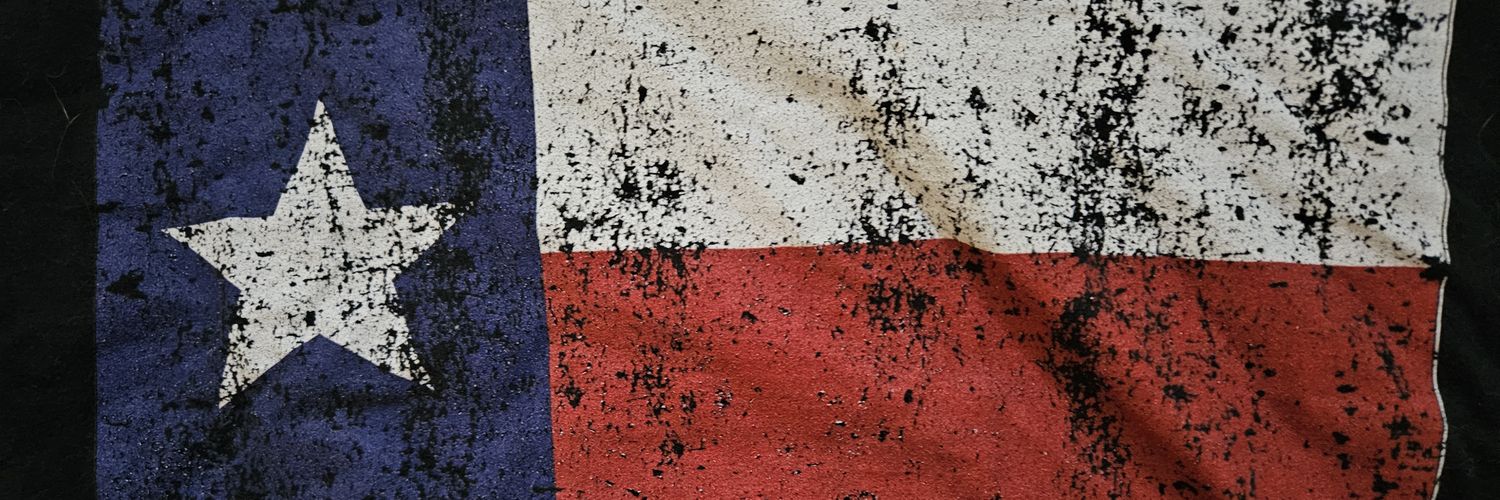 Texas Conservative 🇺🇲 🇮🇱 banner
