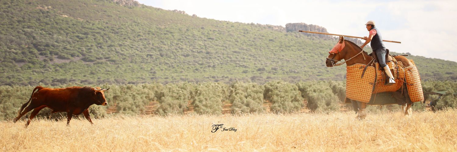 Pelae Diaz Ruiz banner