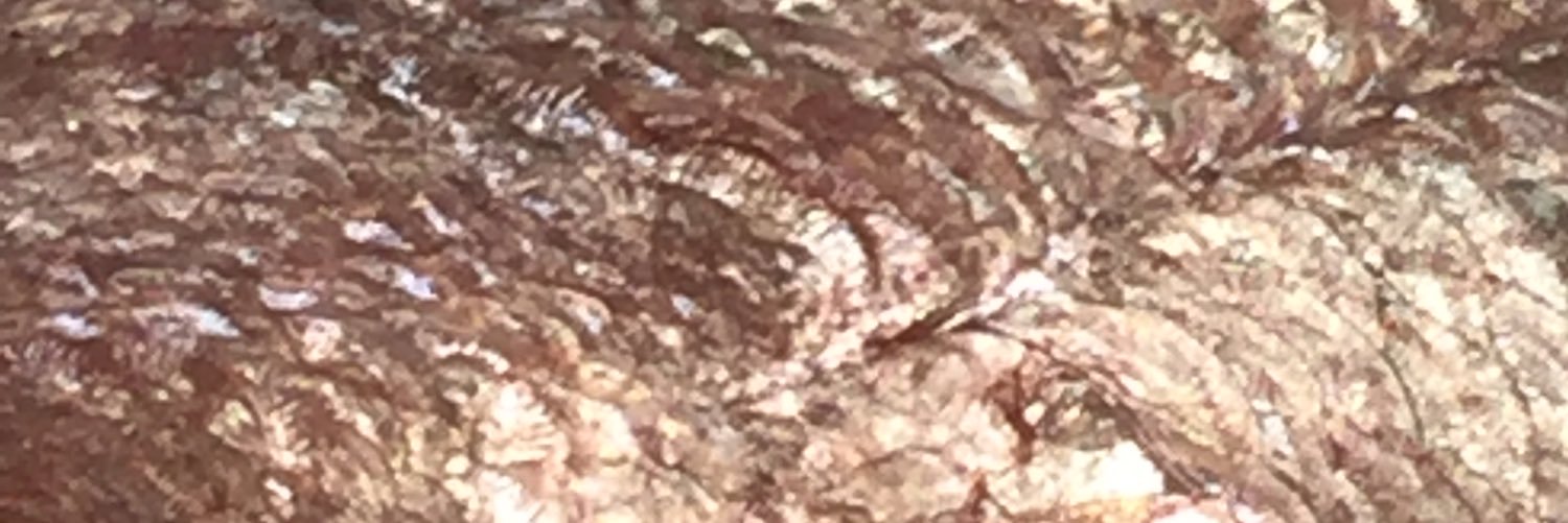 fo0dandFashun's profile banner image
