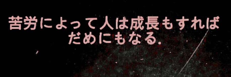 SenjooDensetsu's profile banner image
