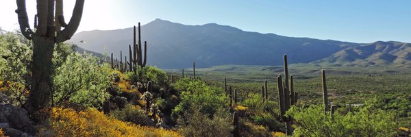 SaguaroNPS Profile Banner
