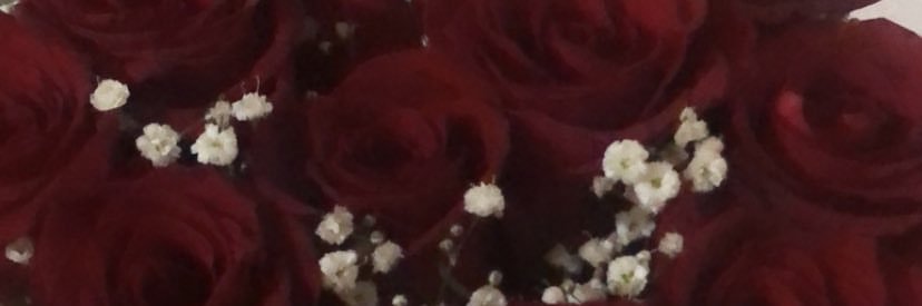 olgachavez03's profile banner image